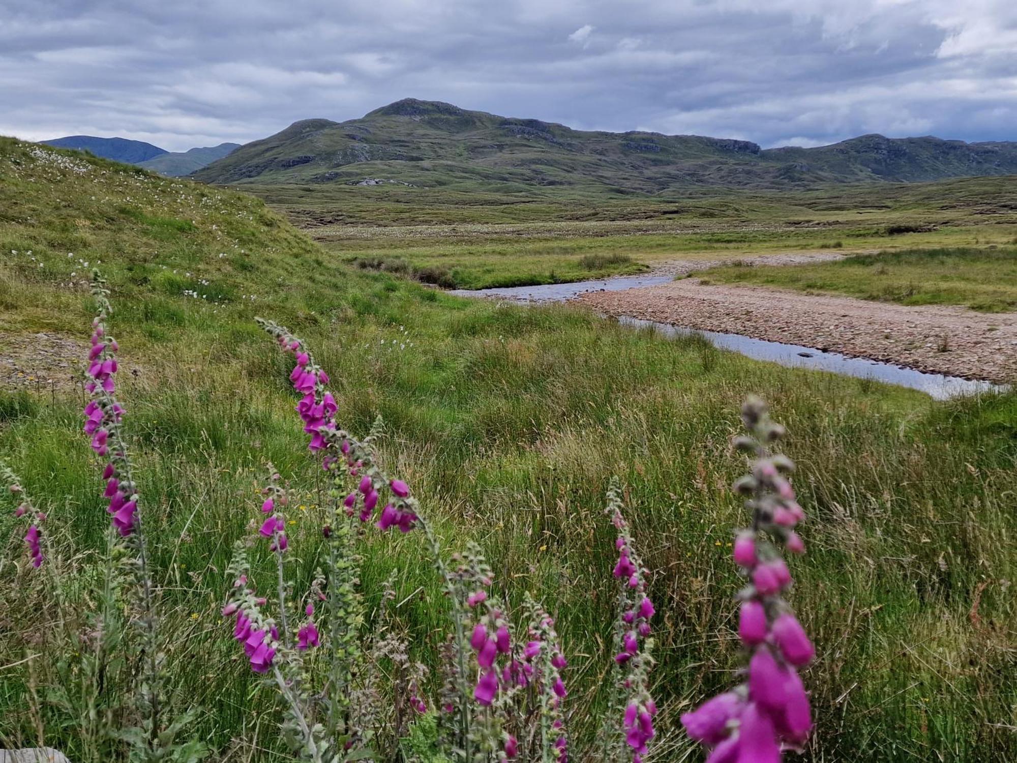 Gorse Gorgeous Glamping Hideaway Leilighet Dundonnell Eksteriør bilde